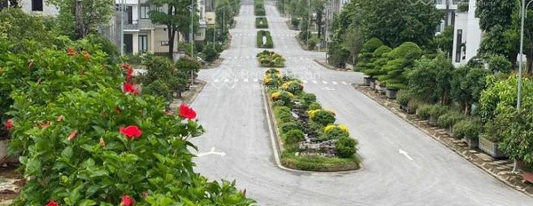 Chính chủ bán biệt thự Phú Cát tại dự án Phú Cát City, Xã Thạch Hoà, Thạch Thất, Hà Nội -03