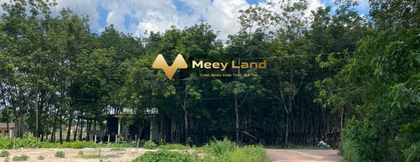 Giá bán khủng 660 triệu bán đất dt gồm 1200 m2 vị trí tiềm năng Xã Minh Tân, Huyện Dầu Tiếng-03