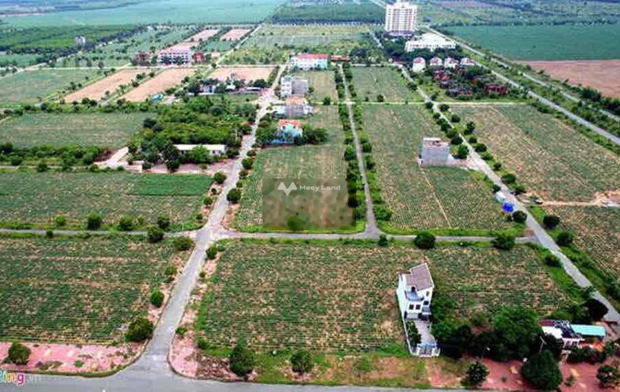 Nguyễn Văn Cừ, Phước An 850 triệu bán đất diện tích thực như trên hình 85m2-01