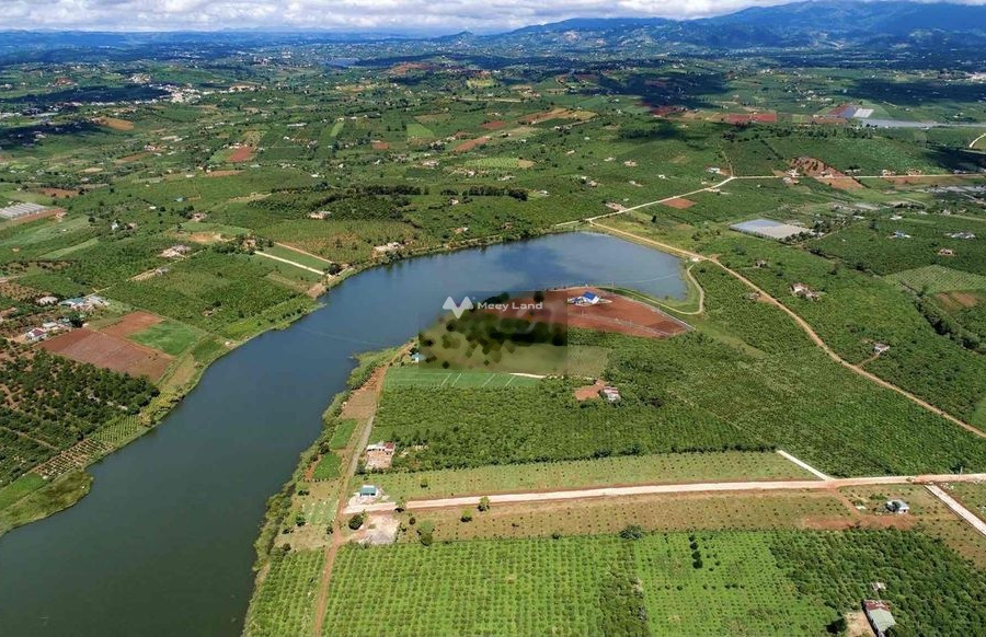 Tại Phúc Thọ, Lâm Đồng bán đất 2.85 tỷ diện tích chung là 726m2-01