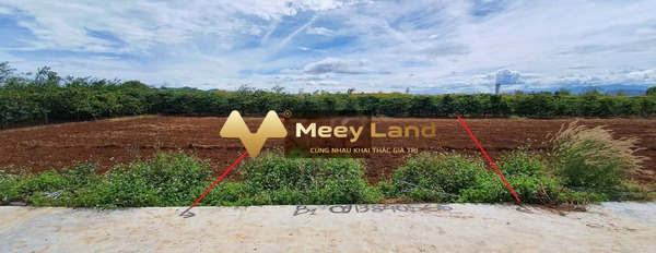 Xã Liên Hiệp, Tỉnh Lâm Đồng bán đất giá siêu rẻ chỉ 580 triệu diện tích mặt tiền 118 m2-02