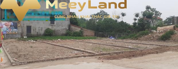 Bán đất tại Hà Phong, Mê Linh, Hà Nội. Diện tích 42m2, giá 760 triệu-03