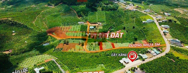 Bán mảnh đất, giá bán tốt bất ngờ 999 triệu với diện tích là 664m2-02