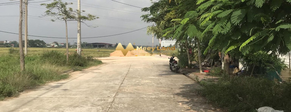 Tam Dương, Vĩnh Phúc bán đất toàn bộ khu vực có diện tích 100 m2-03