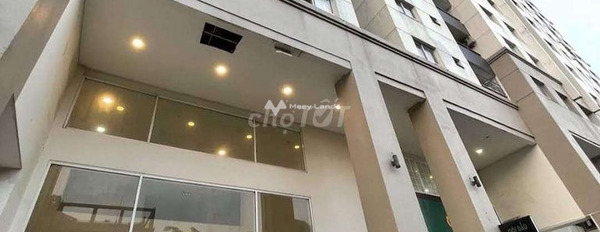Vị trí đẹp tọa lạc trên Phường 14, Hồ Chí Minh, bán chung cư bán ngay với giá thực tế chỉ 2.25 tỷ, trong căn hộ gồm 2 PN, 2 WC thuận mua vừa bán-02