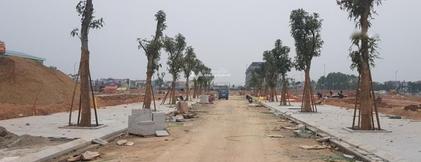 Vị trí mặt tiền ở Tân Tiến, Bắc Giang bán đất giá mua ngay từ 4.46 tỷ diện tích chung 81m2-03