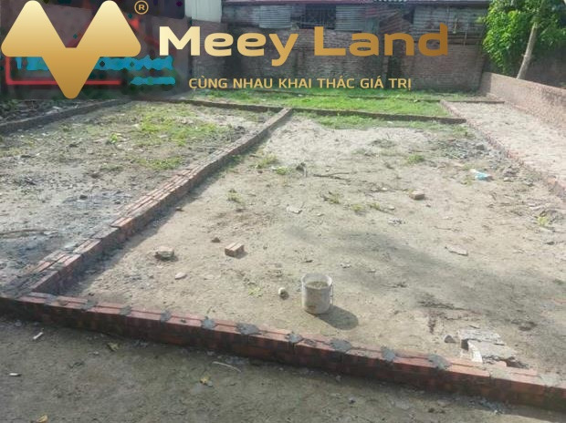 Giá bán chính chủ 2.15 tỷ bán đất dt là 165 m2 vị trí thuận lợi tọa lạc ngay ở Nguyễn Văn Cừ, Hà Nội