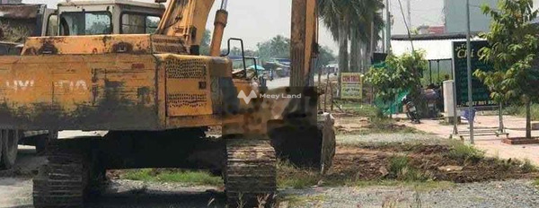 Thủ Thừa, Long An bán đất giá rẻ từ 1.25 tỷ diện tích rộng 100m2-02