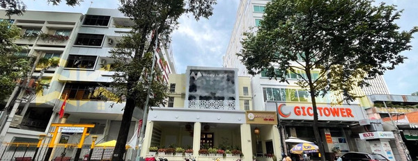 Vị trí đặt gần Mạc Đĩnh Chi, Hồ Chí Minh cho thuê sàn văn phòng giá thuê siêu mềm 80 triệu/tháng có diện tích chính 80m2-02