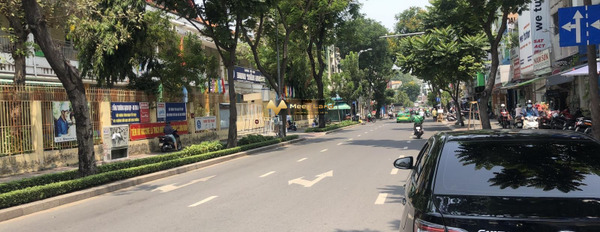 Bán hộ căn nhà vị trí tốt ở Võ Thị Sáu, Tân Định bán ngay với giá đặc biệt 35 tỷ có diện tích gồm 88m2 giá tốt nhất-02
