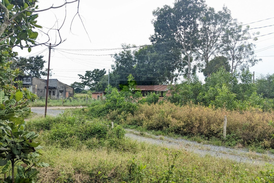 Giá khởi điểm 680 triệu bán đất có diện tích chuẩn 199m2 vị trí đẹp tọa lạc gần Suối Cát, Xuân Lộc-01