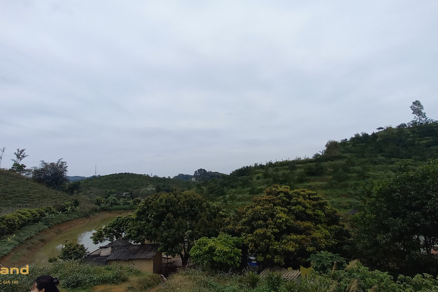 Bán 4,5 ha đất tại Cao Phong, Hòa Bình, đã có cam khai thác, hồ nước, đất ở-01