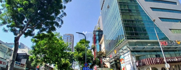 Nhà 10 PN bán nhà ở diện tích chuẩn 146m2 bán ngay với giá hữu nghị chỉ 45.5 tỷ tọa lạc ngay trên Mai Thị Lựu, Hồ Chí Minh-03