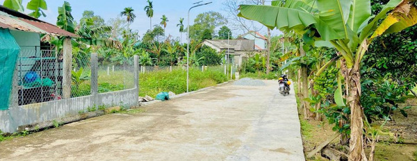 Cần bán đất huyện Phú Vang tỉnh Thừa Thiên Huế giá 395 triệu-03