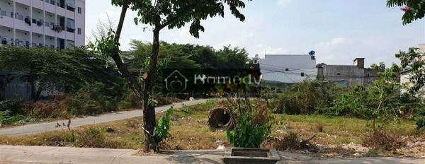 Bán đất diện tích 783m2 Nguyễn Thị Thử, Hồ Chí Minh-03