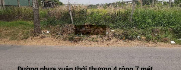 Bán đất MT đường Xuân Thới Thượng 4. DT 20x50m đất thổ cư. Đường nhựa 12m thông thoáng -02