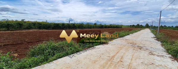 Xã Liên Hiệp, Tỉnh Lâm Đồng bán đất giá siêu rẻ chỉ 580 triệu diện tích mặt tiền 118 m2-03