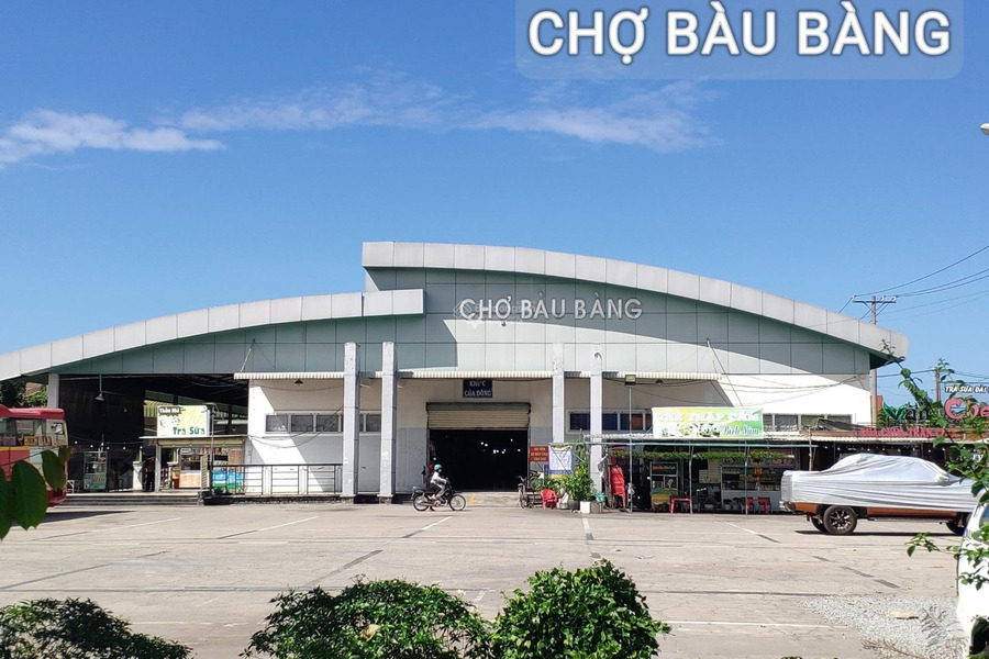 Bán đất diện tích 100m2 tại Bàu Bàng, Bình Dương-01