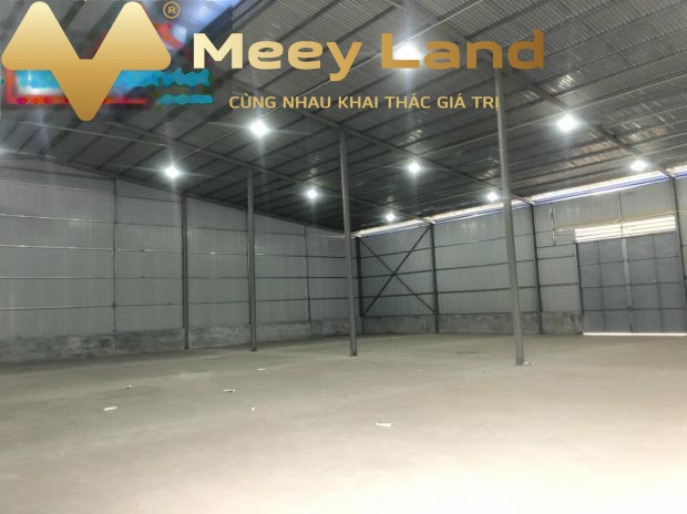 Cho thuê kho bãi diện tích 3000m2 tại Đường Quốc Lộ 5, Xã Phú Thị, giá 165 triệu/tháng-01