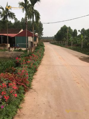 Bán đất tại Tân Sơn, Tân Dĩnh, Lạng Giang, Bắc Giang. Diện tích 130m2, giá thương lượng