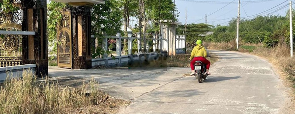 Vị trí mặt tiền nằm ngay Tân Thành, Bình Phước bán đất, giá siêu khủng 495 triệu có diện tích thực 1500m2-03