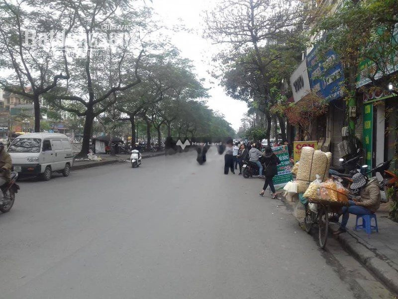 Bán đất Yên Sở, Tam Trinh, Hoàng Mai, 45m2-01