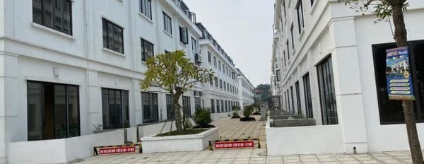 Cần tiền xoay sở bán đất Mê Linh, Hà Nội giá không trung gian 110 tỷ với dt thực 22000 m2-02