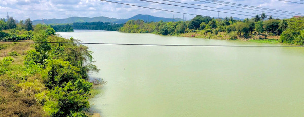 Bán đất mặt sông Serepok thuộc xã Tâm Thắng, Cư Jút, Đắk Nông-02
