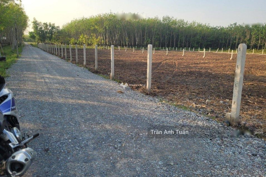 Giá chính chủ 840 triệu bán đất diện tích thực tế 220m2 vị trí mặt tiền ngay Gò Dầu, Tây Ninh-01