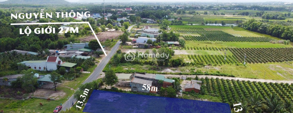 Bán đất 3.8 tỷ Nguyễn Thông, La Gi diện tích khoảng là 790m2-02