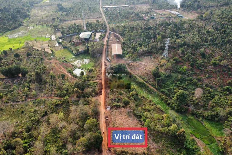 Vị trí đẹp tại Cư Êbur, Đắk Lắk bán đất giá hợp lý từ 1.25 tỷ có một diện tích sàn 140m2-01