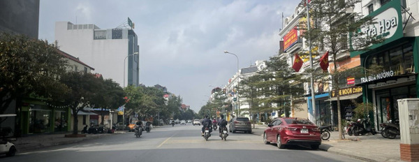 Duy nhất 90m2 shophouse Sông Hồng đã hoàn thiện mặt phố Thành Trung, Gia Lâm-03