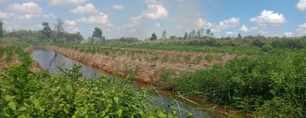 Bán nhà đất tại ấp An Phú, xã Khánh An, huyện U Minh, tỉnh Cà Mau-03