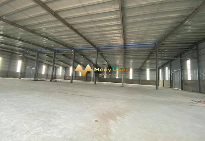 Cho thuê kho bãi 2000m2 xã Bình Mỹ, huyện Củ Chi, giá 100 triệu/tháng