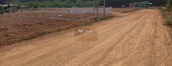 Bán đất 385 triệu Đồng Phú, Bình Phước diện tích thực là 400m2-02