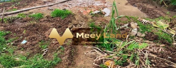 Khoảng 750 triệu bán đất có diện tích khoảng 500 m2 vị trí đẹp Đông Hiệp, Cần Thơ, hướng Nam-03