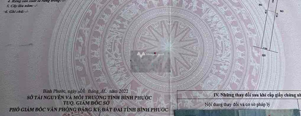 Bán lô đất mặt tiền nhữa Xã Tân Tiến Bù Đốp, Bình Phước -03