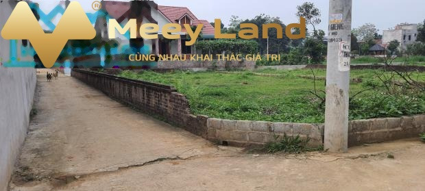 Bán đất 3.77 tỷ Quốc Oai, Hà Nội có tổng dt 444m2-01