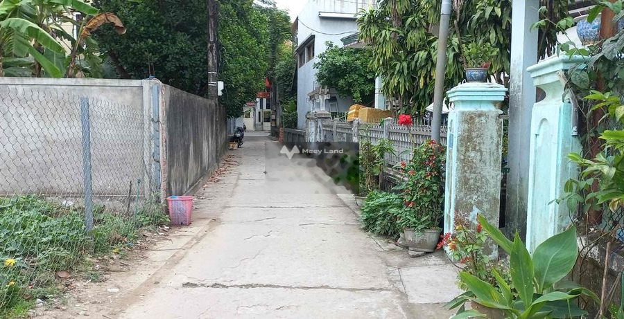 Nguyễn Trãi, Thừa Thiên Huế bán đất với diện tích là 100m2-01