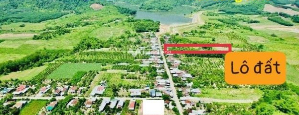 Giá bất ngờ từ 870 triệu bán đất có một diện tích 1230m2 mặt tiền nằm ngay tại Đường 1, Diên Khánh, hướng KXĐ-02