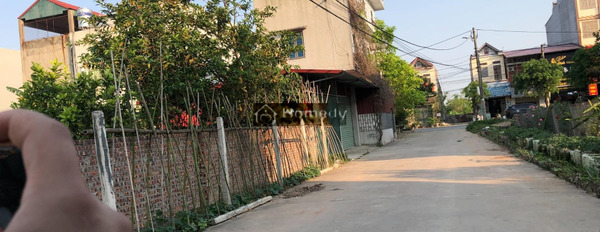 Vị trí mặt tiền tọa lạc ở Thị Trấn Thứa, Lương Tài bán đất diện tích rộng là 97.5m2-03