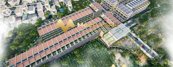 1.1 tỷ bán đất diện tích là 100 m2 vị trí nằm trên Huyện Hàm Thuận Bắc, Tỉnh Bình Thuận, -02