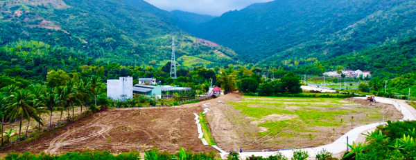 Bán đất giá rẻ tại xã Suối Tiên, Diên Khánh, sổ hồng 2021 giá đầu tư F0-03