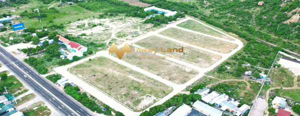 Tuy Phong, Bình Thuận bán đất giá mua ngay 1.35 tỷ, hướng Nam diện tích chung 135 m2-03