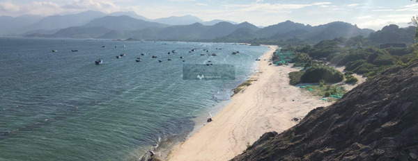 Cam Lập, Khánh Hòa bán đất giá bán thỏa thuận chỉ 23.39 tỷ diện tích chung quy 6683m2-02