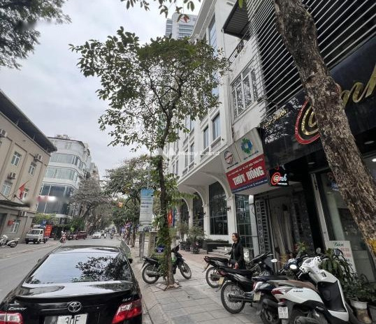 Bán nhà bán ngay với giá hạt dẻ chỉ 129 tỷ diện tích rộng 318m2 vị trí đặt ngay trên Ba Đình, Hà Nội