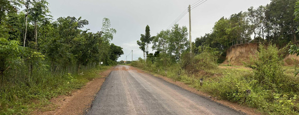 Gần Tân Tiến, Bình Phước bán đất, giá bán khoảng từ 266 triệu với diện tích là 2833m2-03