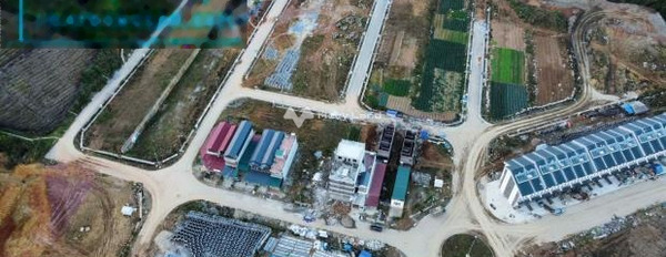 Giá bất ngờ chỉ 3.1 tỷ, Bán đất tổng diện tích 100m2 ở Điện Biên Phủ, Lào Cai, hướng Đông Nam khu vực đông đúc-03