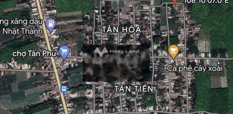 Bán đất 420 triệu Tân Phú, Tân Châu có diện tích là 1045m2-02
