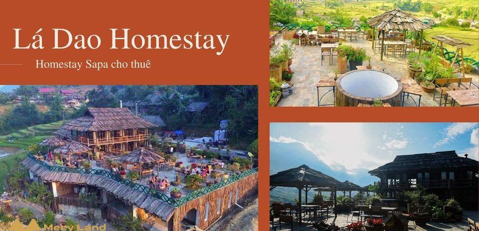 Cho thuê Lá Dao Homestay